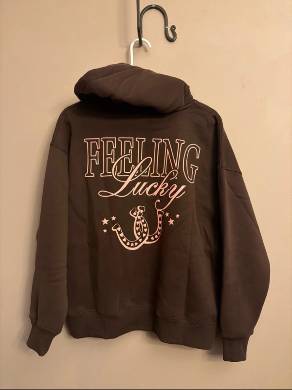 Feeling Lucky Brown Graphic Hoodie